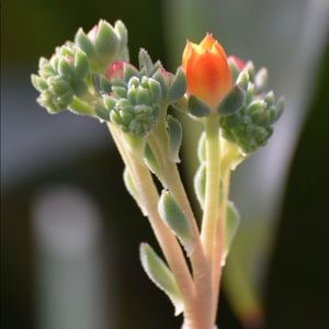 Meet your Posher, Kathleen